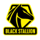 Black Stallion Black Stallion